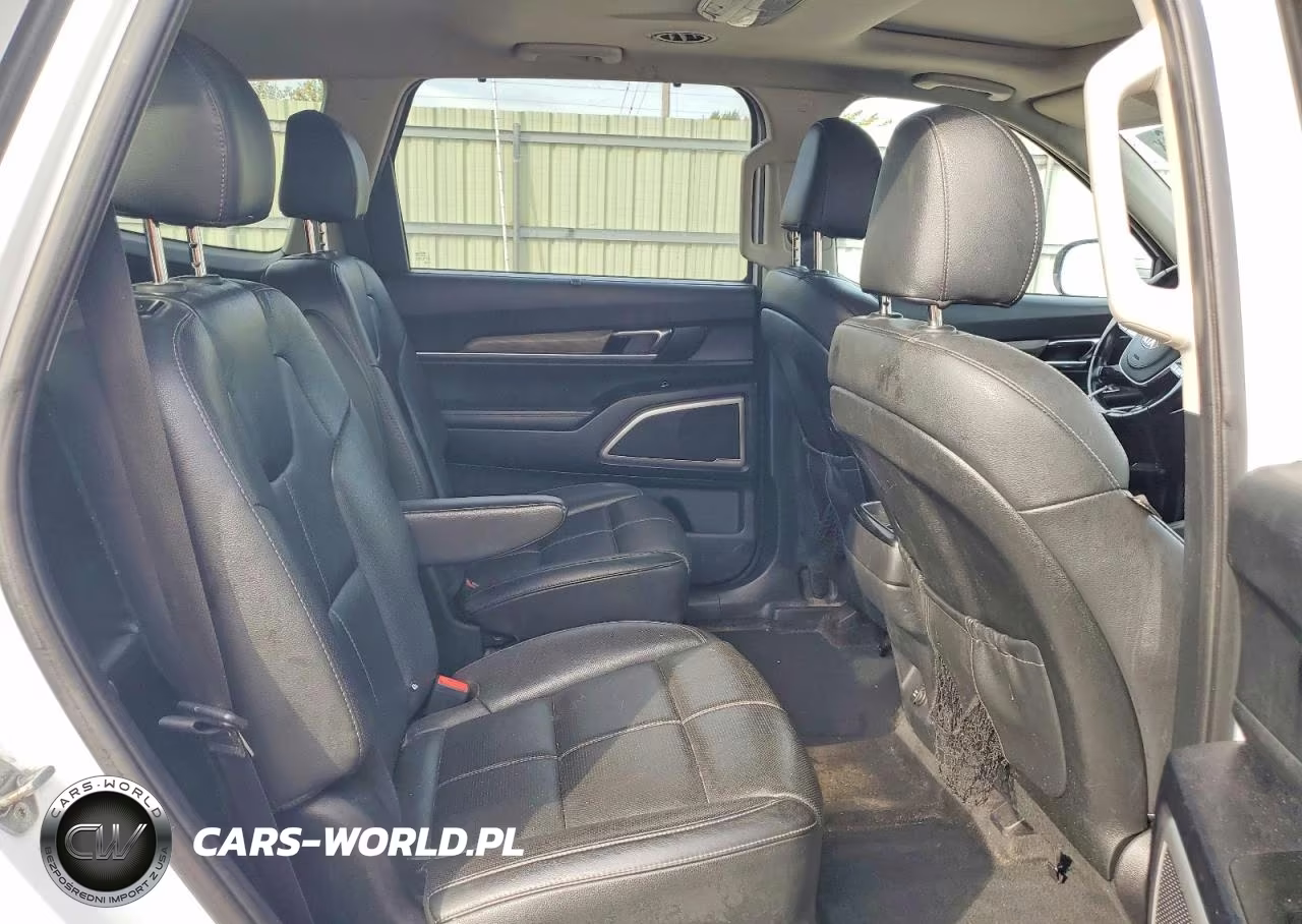 2020 Kia Telluride Ex VIN:5XYP3DHC3LG073549 - 11