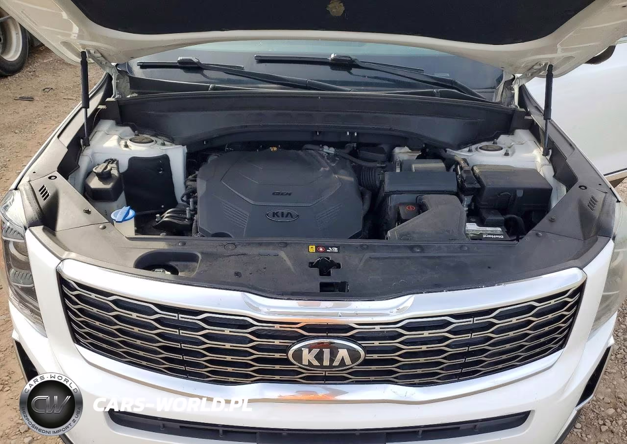 2020 Kia Telluride Ex VIN:5XYP3DHC3LG073549 - 12
