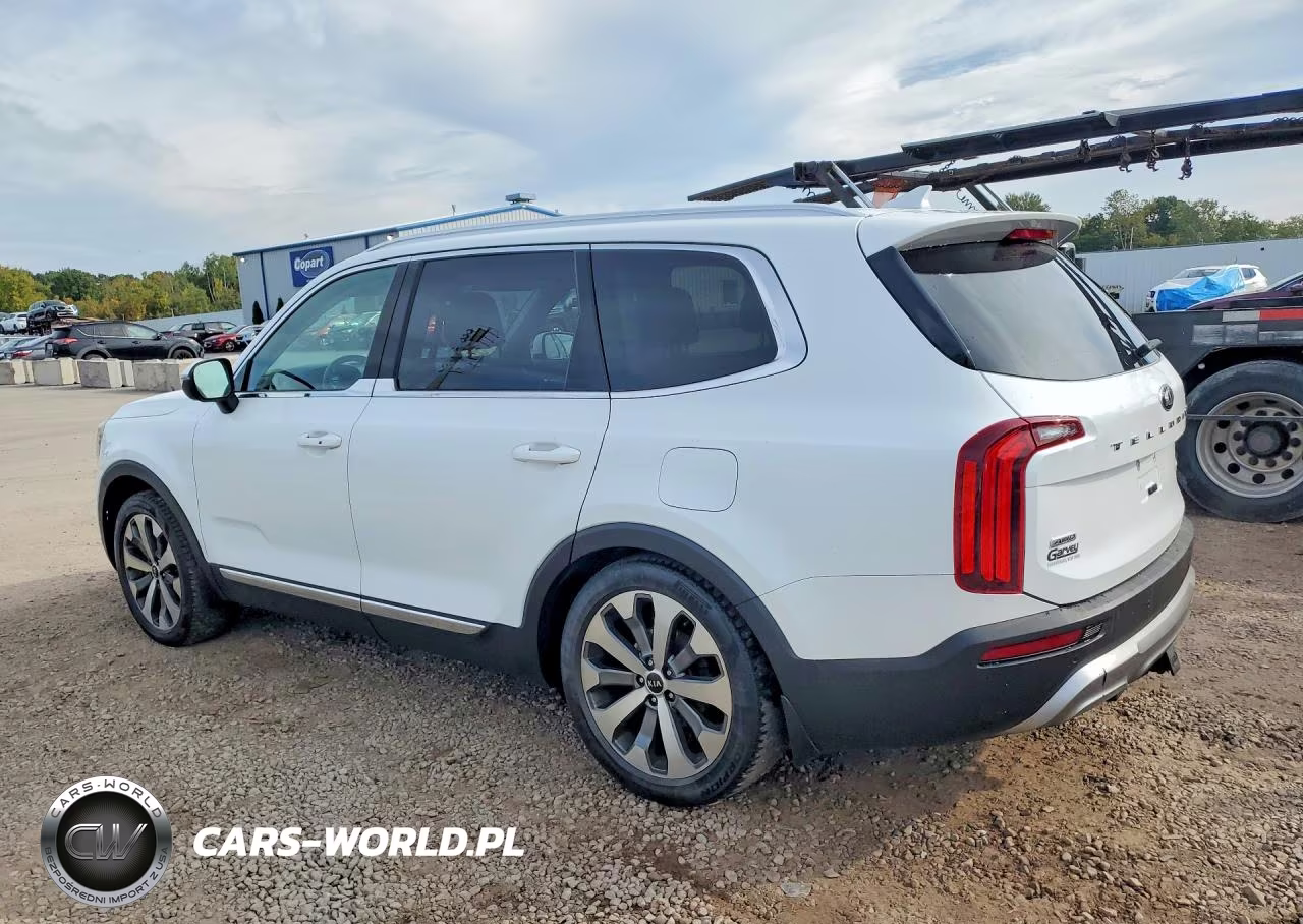 2020 Kia Telluride Ex VIN:5XYP3DHC3LG073549 - 2
