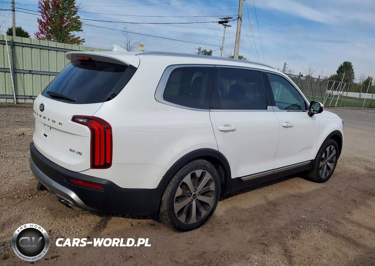 2020 Kia Telluride Ex VIN:5XYP3DHC3LG073549 - 3