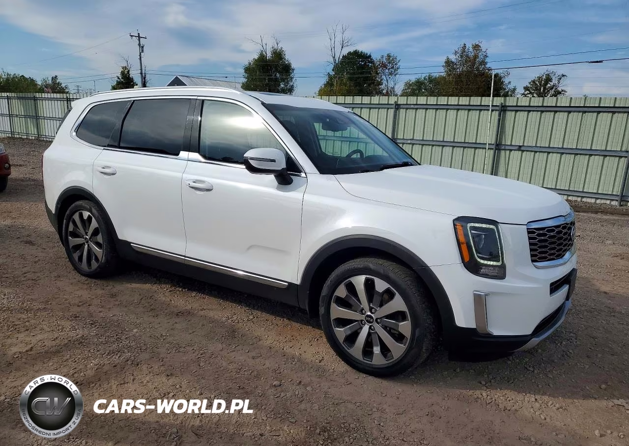 2020 Kia Telluride Ex VIN:5XYP3DHC3LG073549 - 4