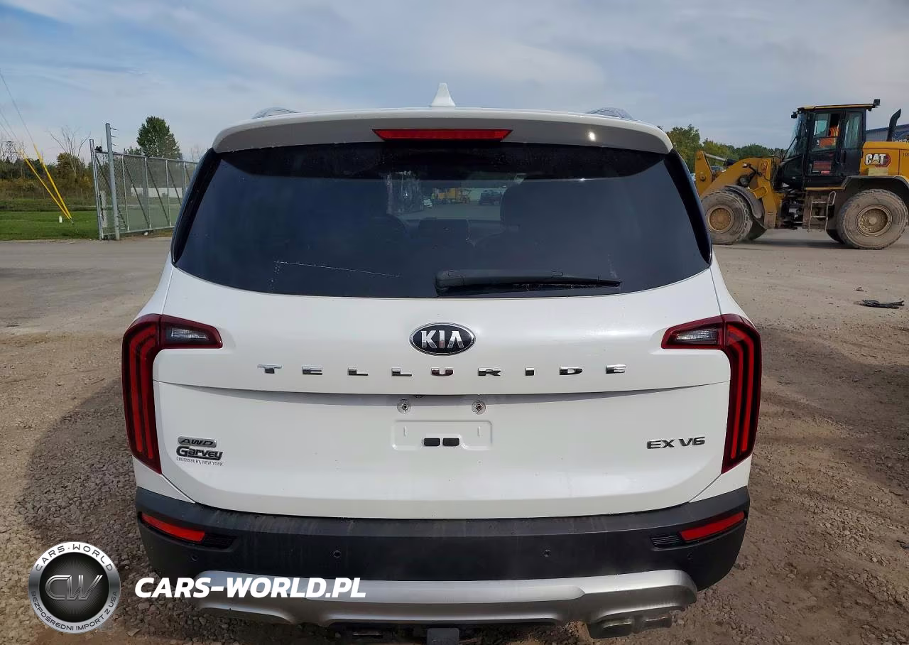 2020 Kia Telluride Ex VIN:5XYP3DHC3LG073549 - 6