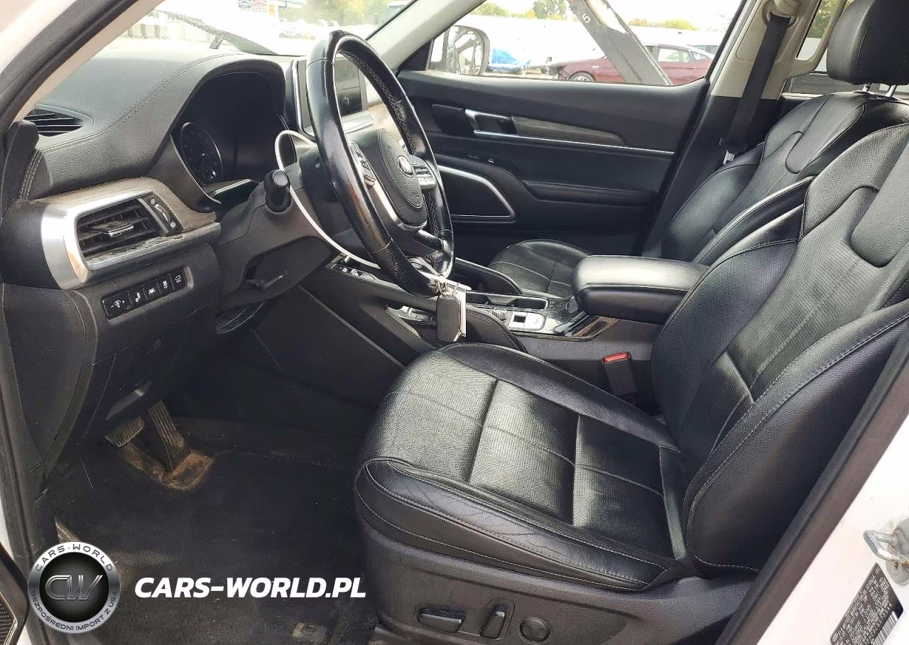 2020 Kia Telluride Ex VIN:5XYP3DHC3LG073549 - 7