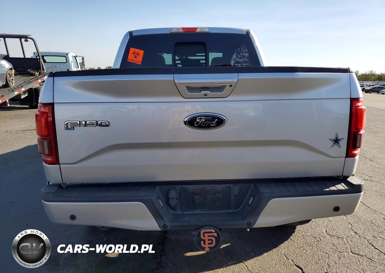 2015 Ford F150 Supercrew VIN:1FTEW1EG4FKD09919 - 6