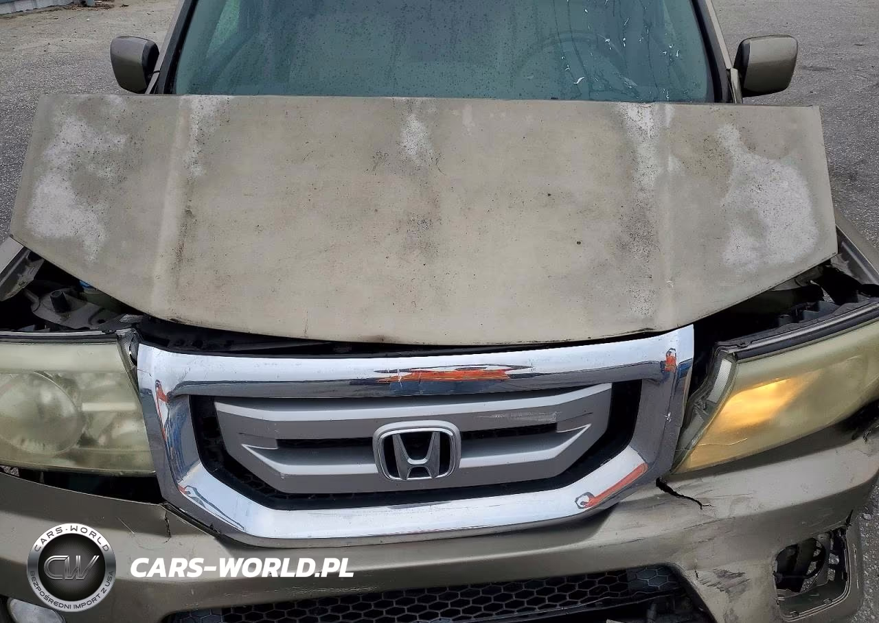 2010 Honda Pilot Exl VIN:5FNYF4H53AB007732 - 12