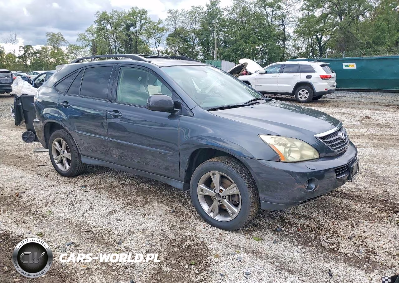 2006 Lexus Rx 400 VIN:JTJHW31U860042765 - 4