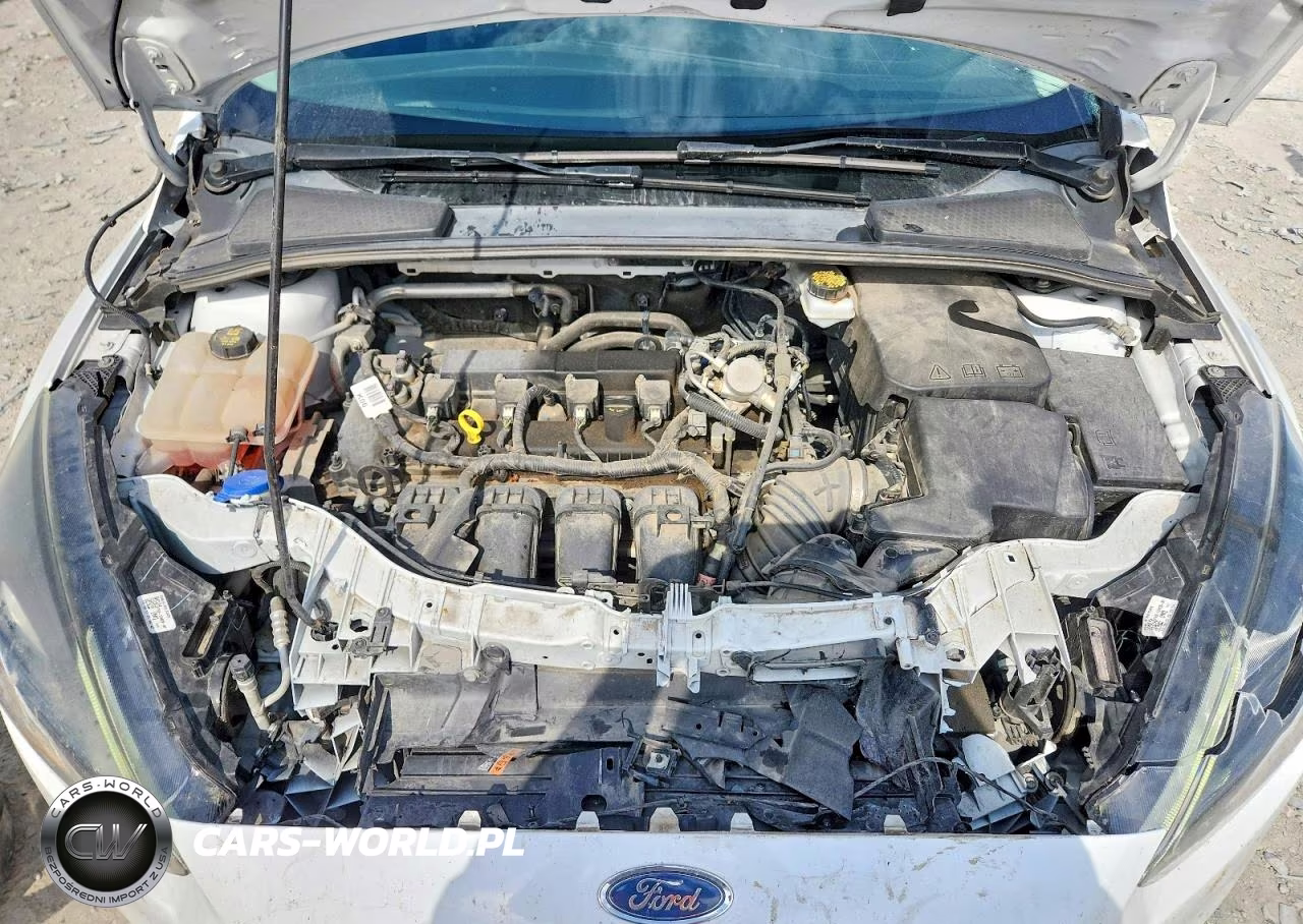 2018 Ford Focus Sel VIN:1FADP3H27JL223498 - 11