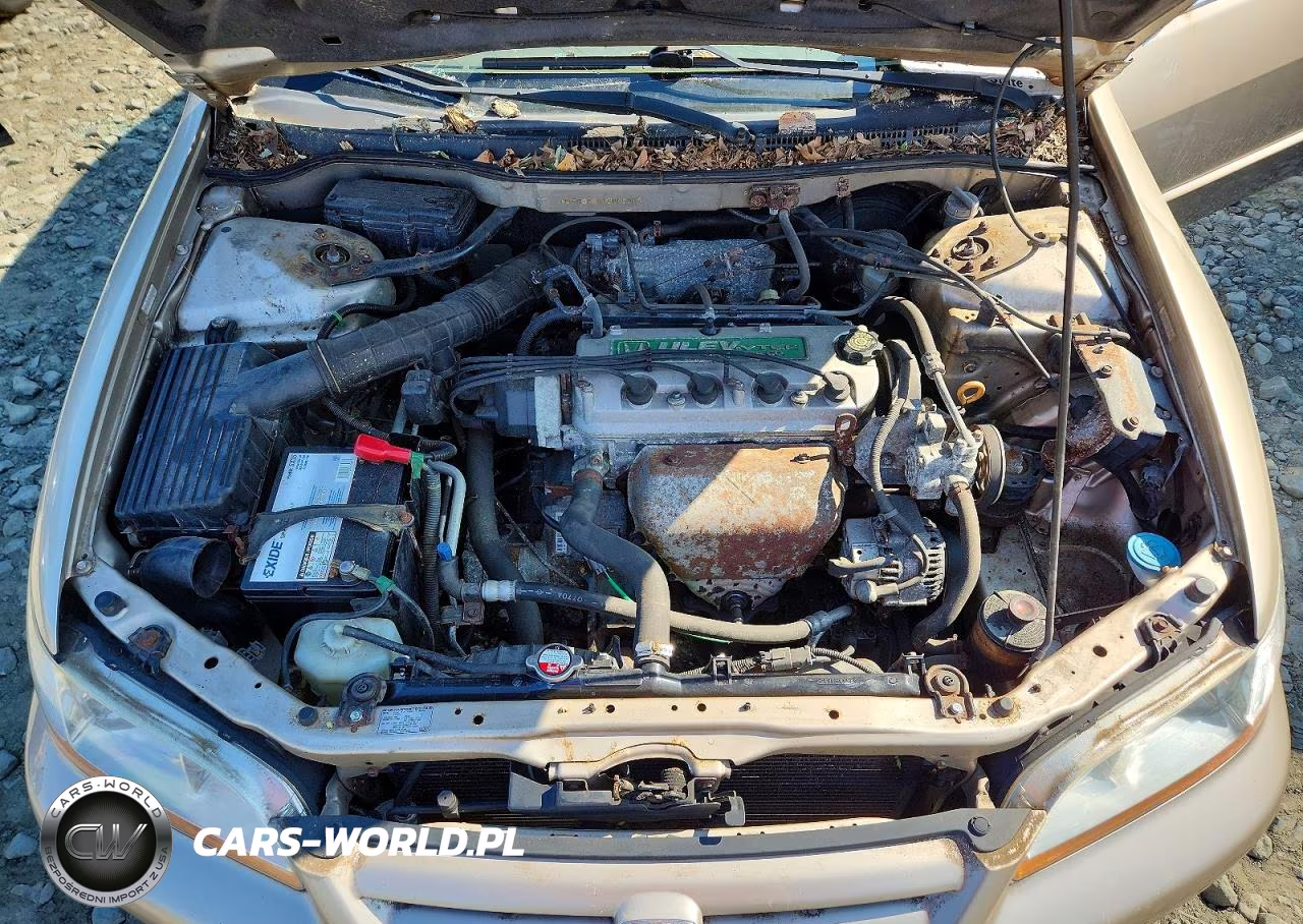 2001 Honda Accord Lx VIN:JHMCG65551C000364 - 11