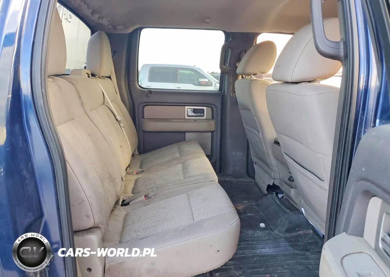 2010 Ford F150 Supercrew VIN:1FTEW1C8XAFC03827 - 10