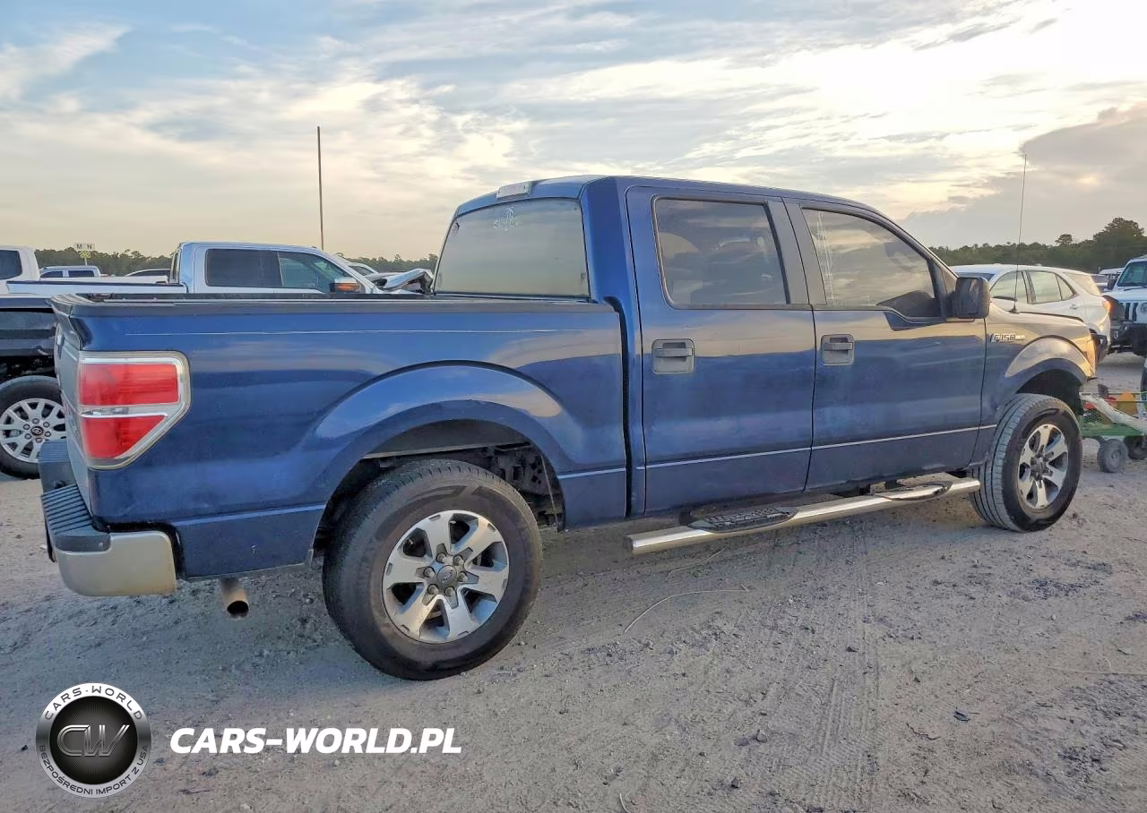 2010 Ford F150 Supercrew VIN:1FTEW1C8XAFC03827 - 3