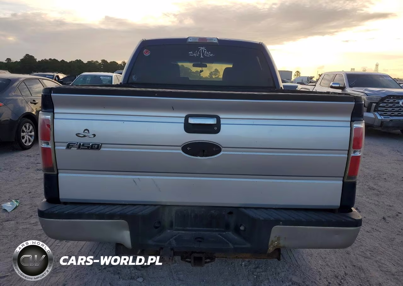 2010 Ford F150 Supercrew VIN:1FTEW1C8XAFC03827 - 6