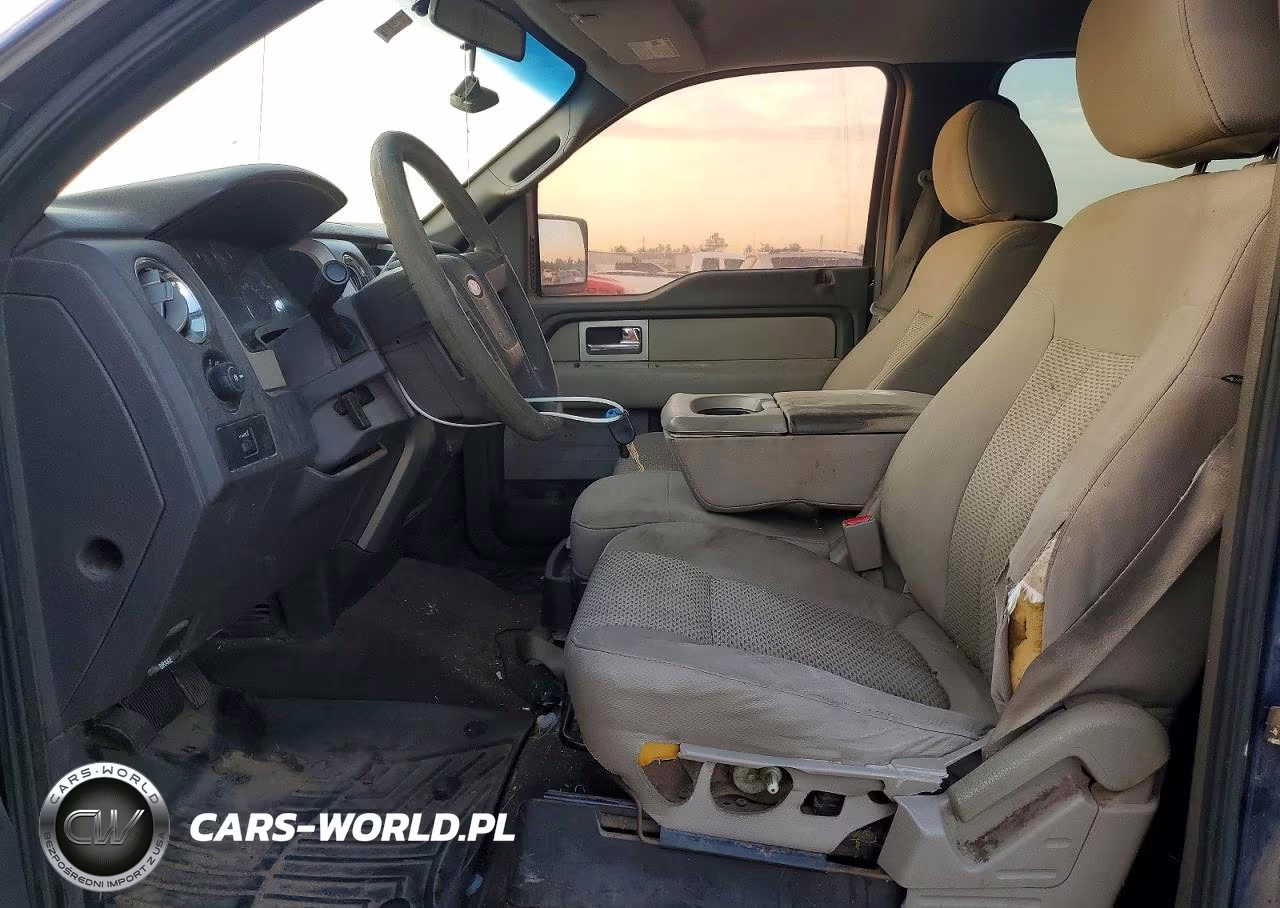 2010 Ford F150 Supercrew VIN:1FTEW1C8XAFC03827 - 7
