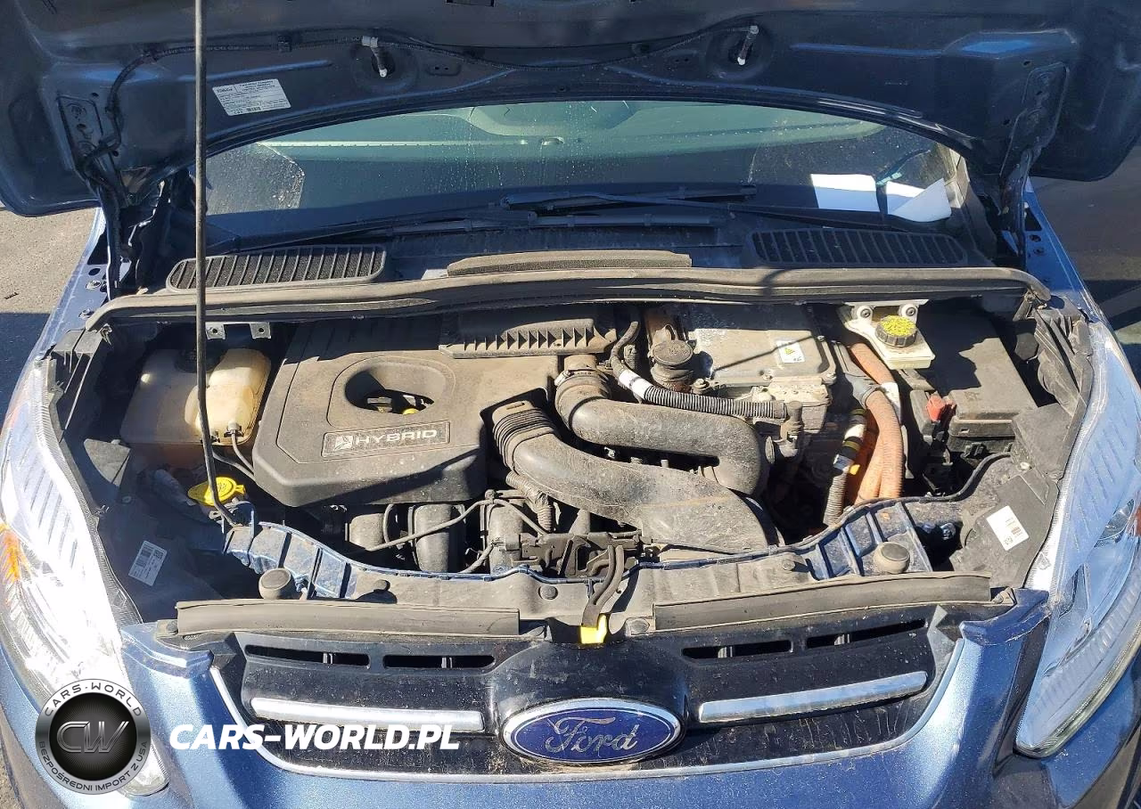 2018 Ford C-Max Se VIN:1FADP5AUXJL100592 - 11