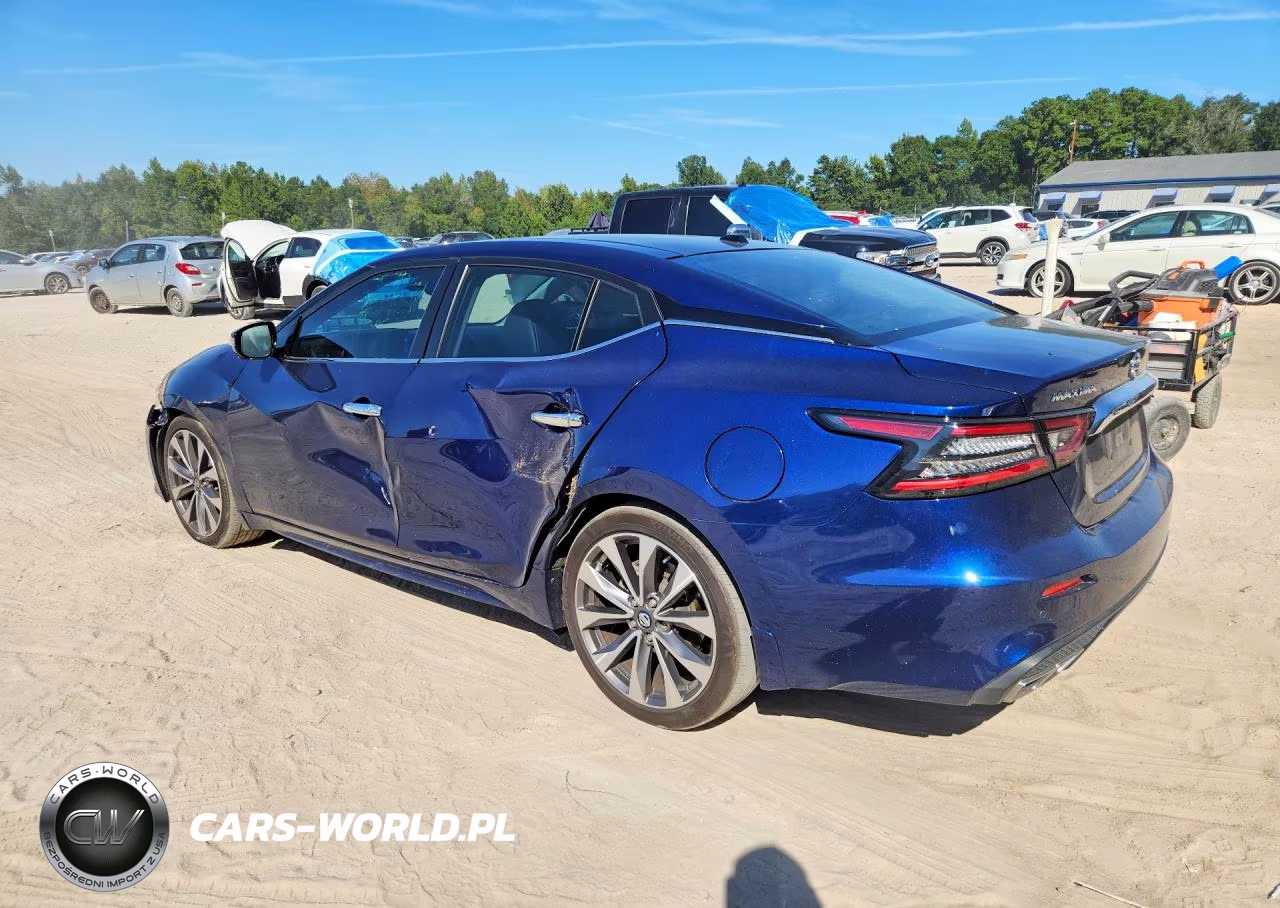 2019 Nissan Maxima Platinum VIN:1N4AA6AV6KC374196 - 2