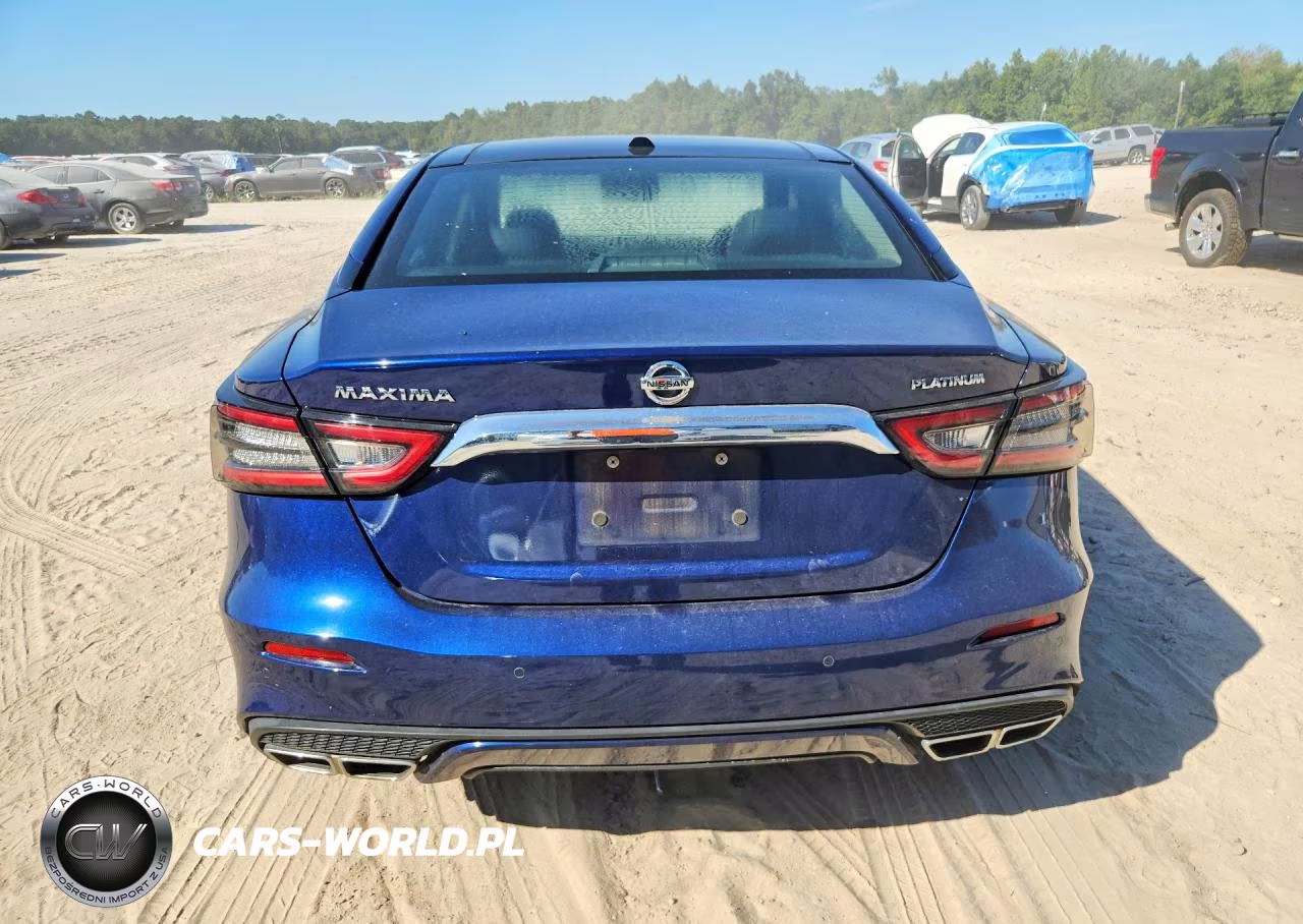 2019 Nissan Maxima Platinum VIN:1N4AA6AV6KC374196 - 6