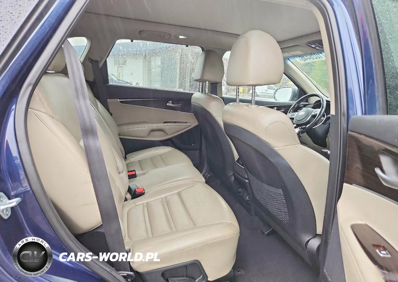 2019 Kia Sorento Ex V6 VIN:5XYPHDA53KG501583 - 11