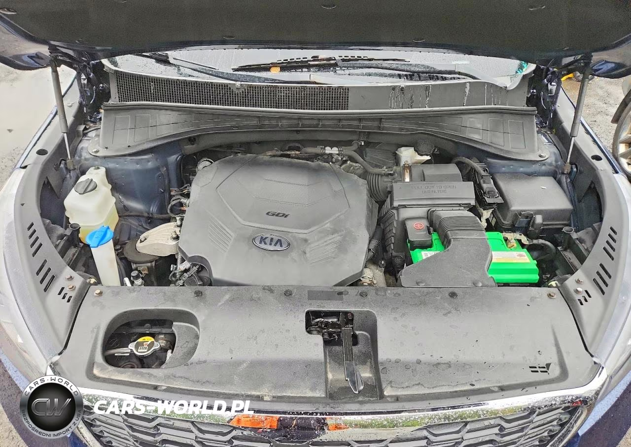 2019 Kia Sorento Ex V6 VIN:5XYPHDA53KG501583 - 12