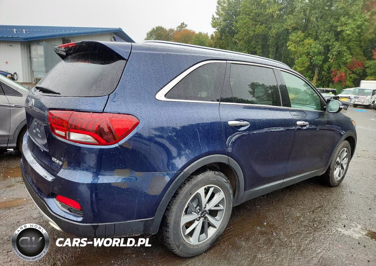 2019 Kia Sorento Ex V6 VIN:5XYPHDA53KG501583 - 3