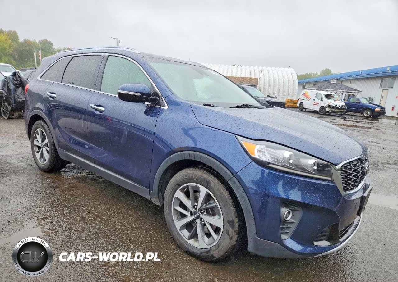 2019 Kia Sorento Ex V6 VIN:5XYPHDA53KG501583 - 4