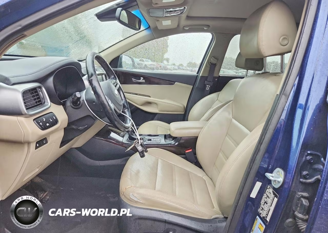 2019 Kia Sorento Ex V6 VIN:5XYPHDA53KG501583 - 7