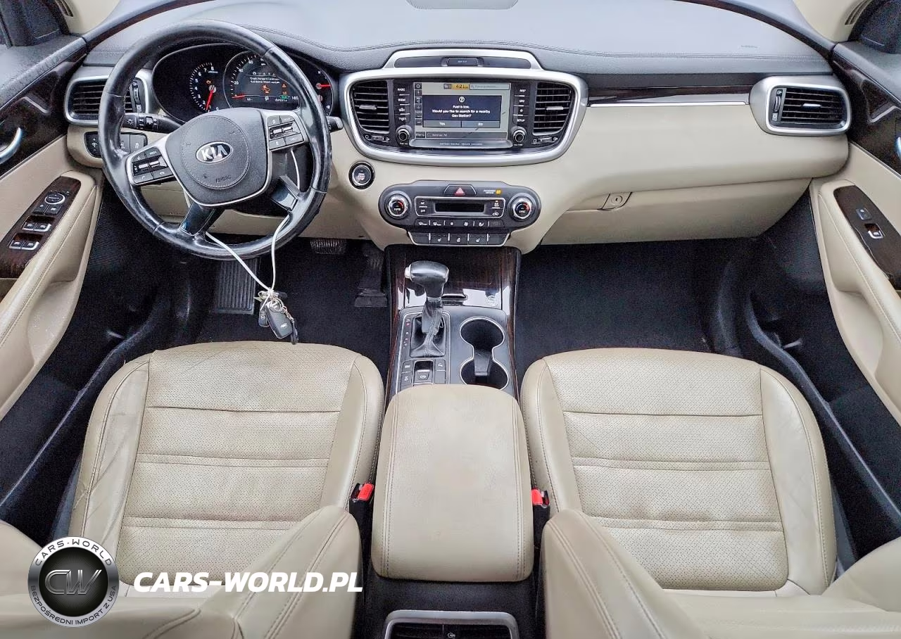 2019 Kia Sorento Ex V6 VIN:5XYPHDA53KG501583 - 8