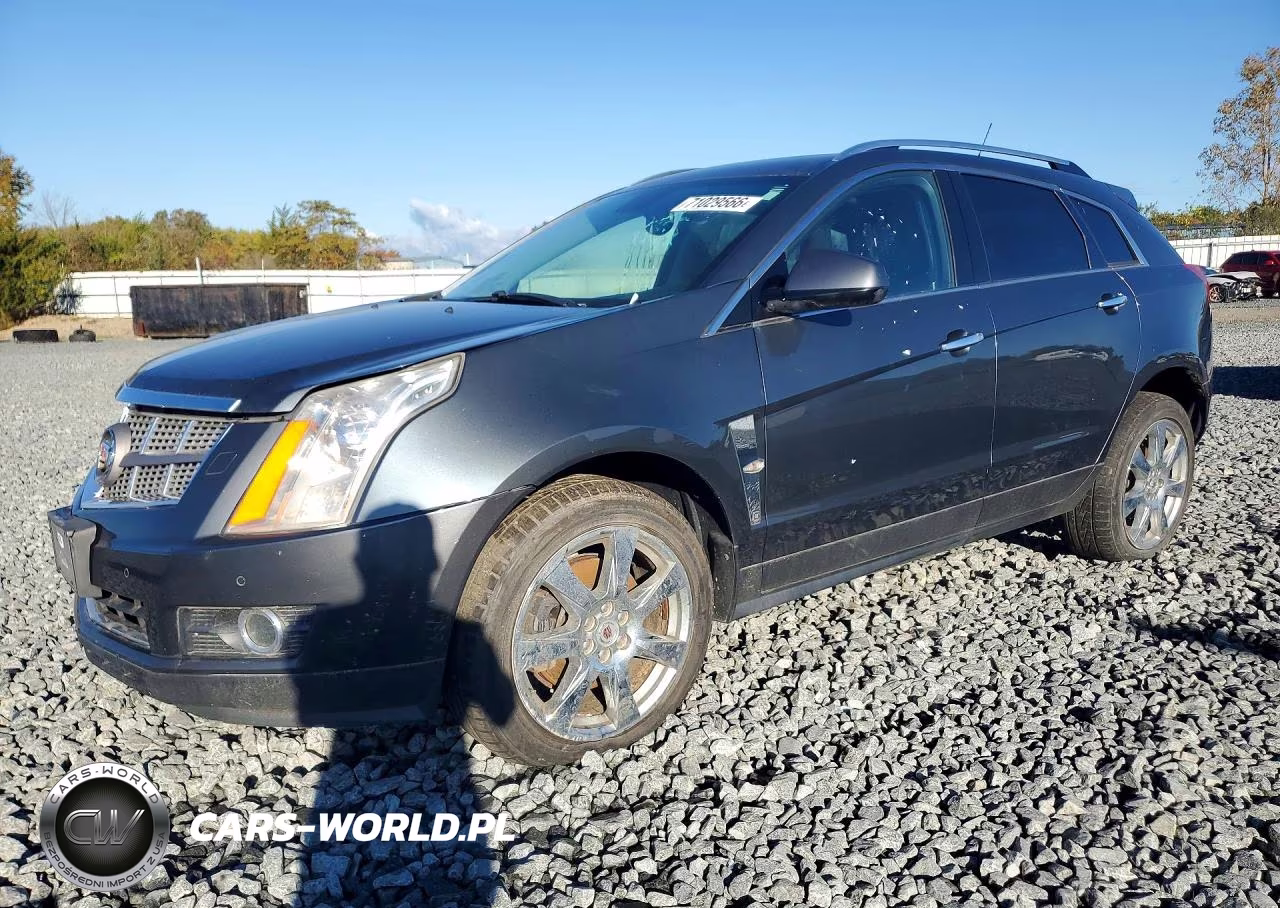2010 Cadillac Srx Performance Collection VIN:3GYFNEEY2AS552286 - 1