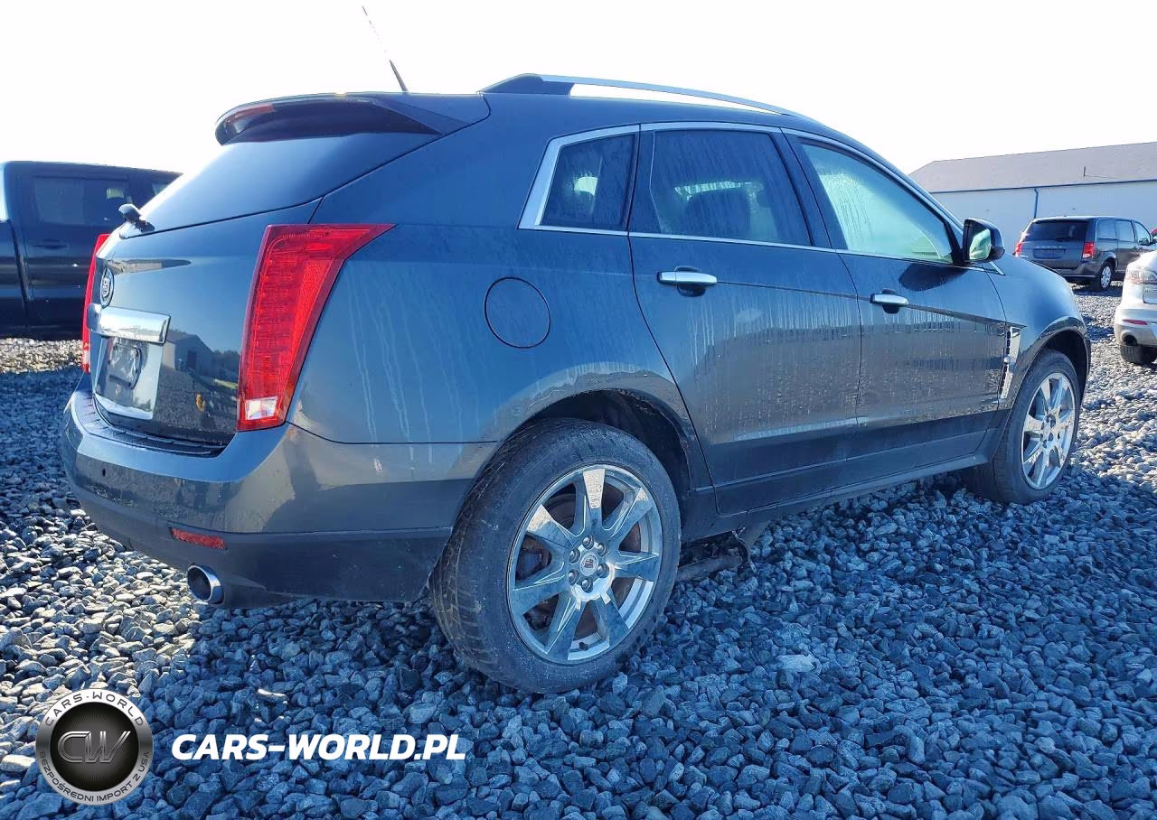 2010 Cadillac Srx Performance Collection VIN:3GYFNEEY2AS552286 - 3