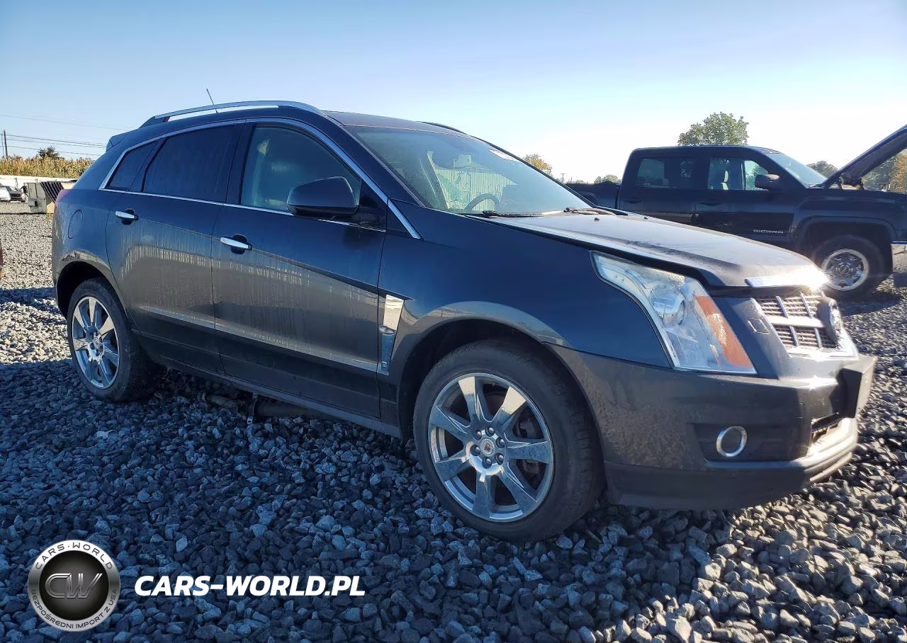 2010 Cadillac Srx Performance Collection VIN:3GYFNEEY2AS552286 - 4