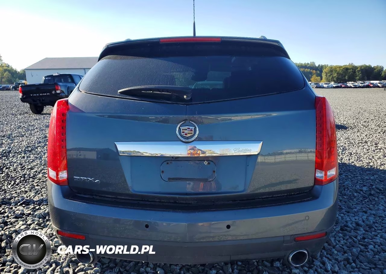 2010 Cadillac Srx Performance Collection VIN:3GYFNEEY2AS552286 - 6