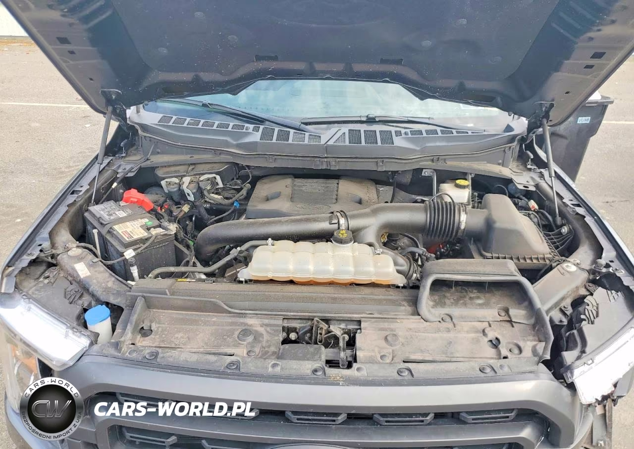 2023 Ford F150 Supercrew VIN:1FTFW1E83PFA70581 - 11