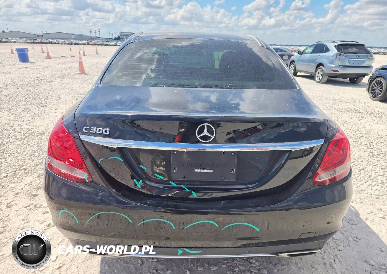 2016 Mercedes-Benz C 300 VIN:55SWF4JB1GU148202 - 6