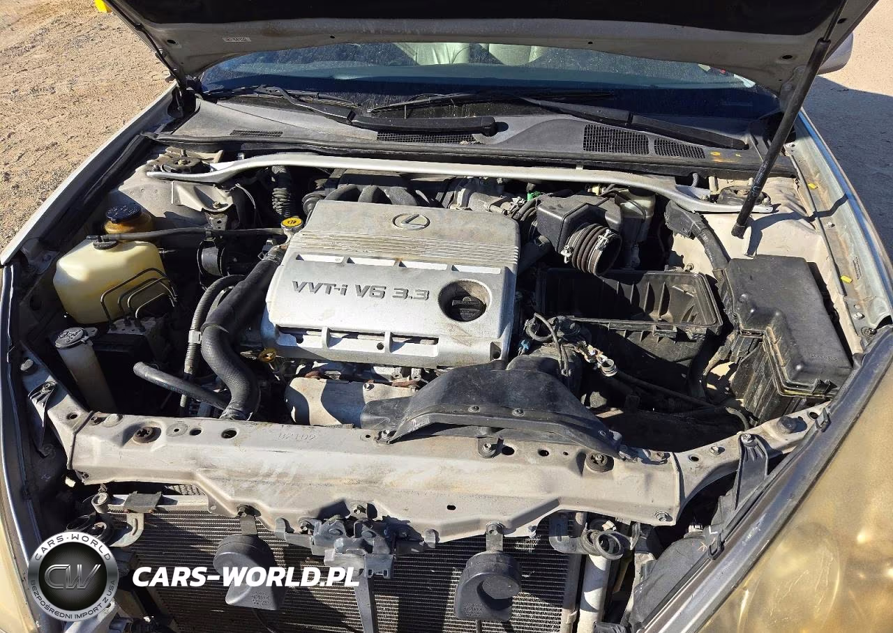 2004 Lexus Es 330 VIN:JTHBA30G845020217 - 11