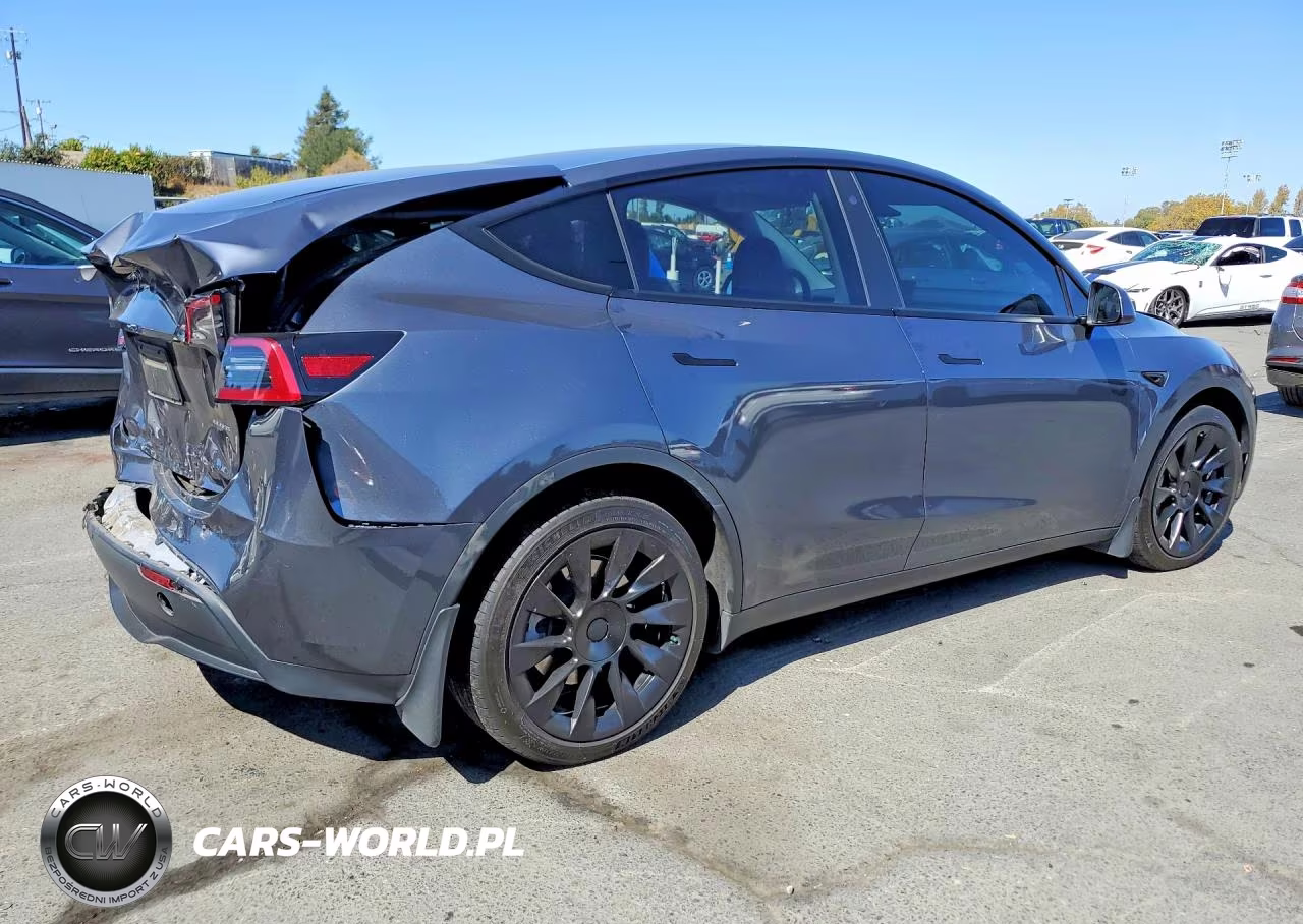 2023 Tesla Model Y VIN:7SAYGAEE8PF743044 - 3