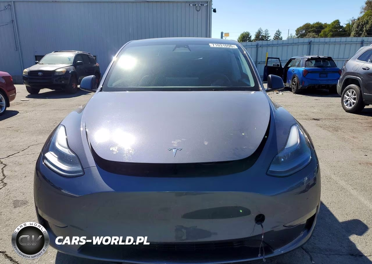 2023 Tesla Model Y VIN:7SAYGAEE8PF743044 - 5