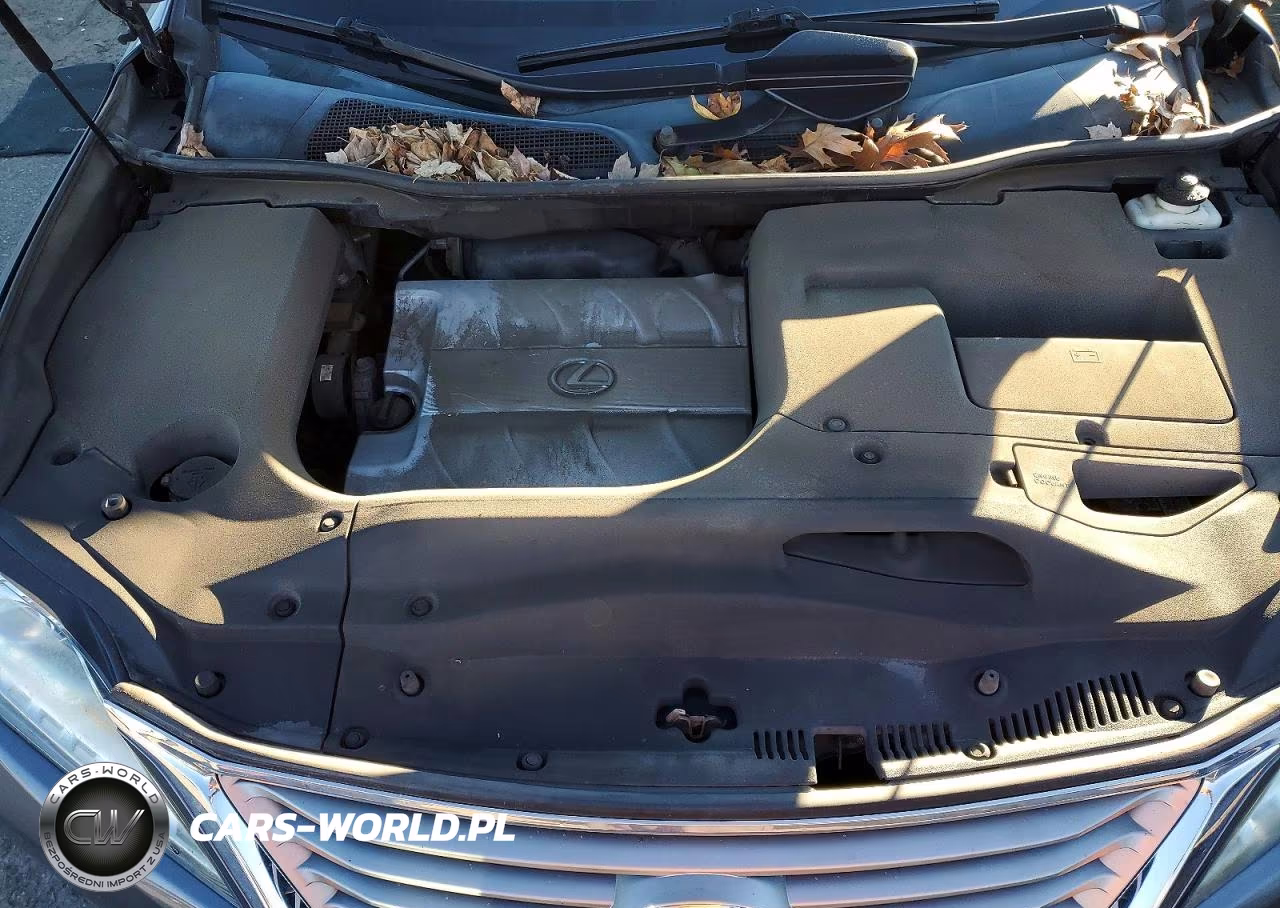 2013 Lexus Rx 350 Base VIN:2T2BK1BA3DC166731 - 12
