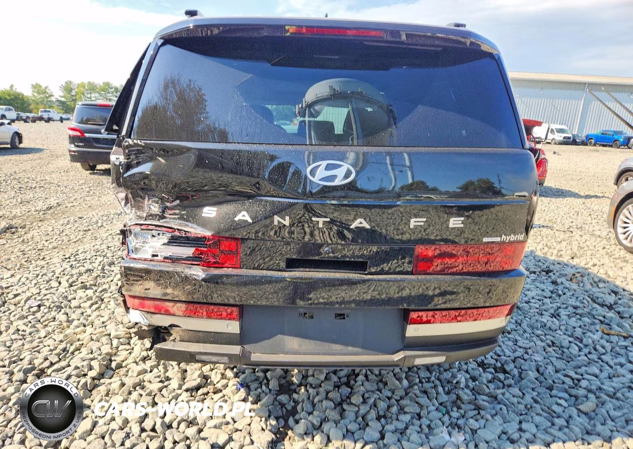 2025 Hyundai Santa Fe Limited VIN:5NMP3DG18SH059621 - 6