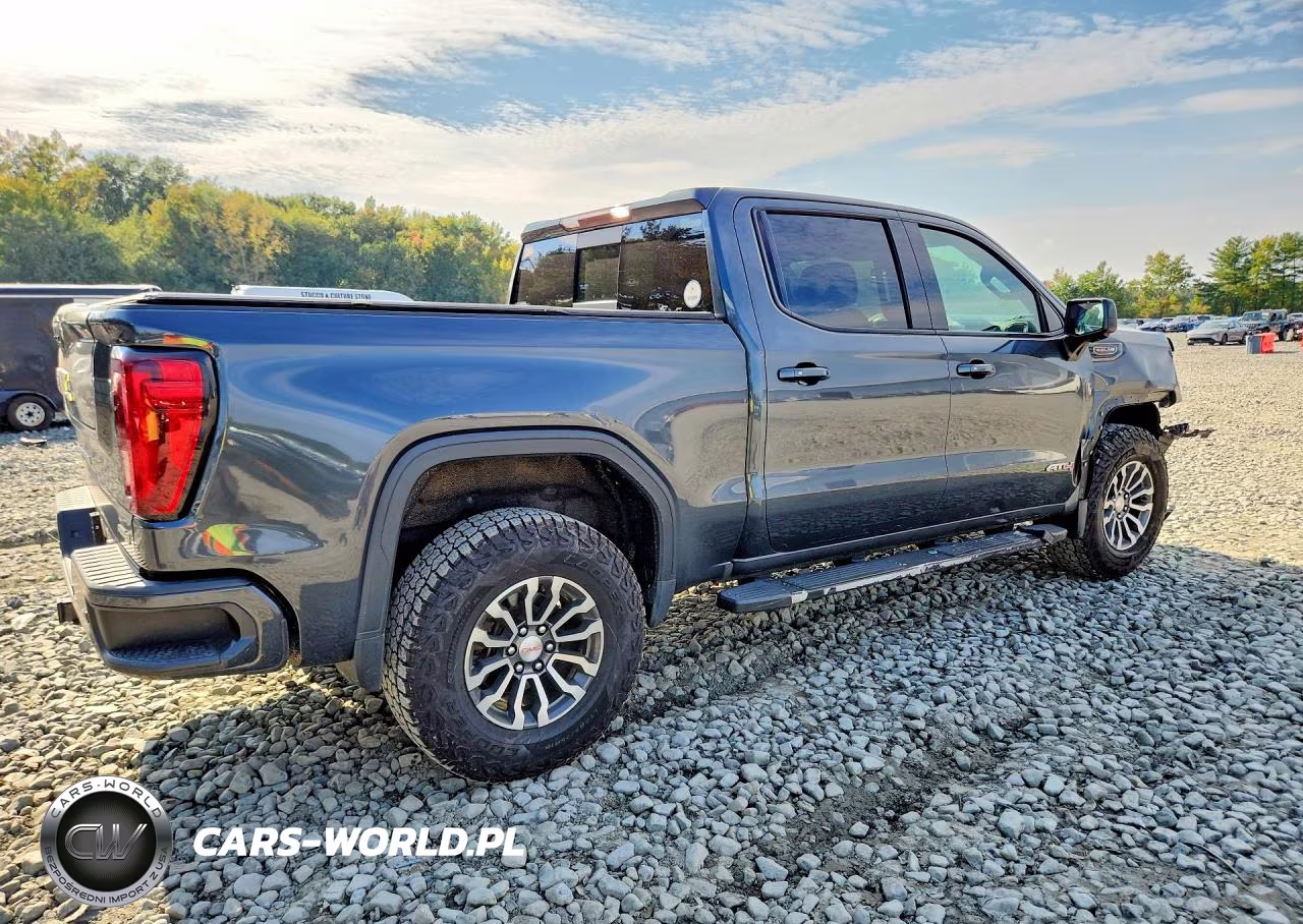 2019 GMC Sierra K1500 At4 VIN:3GTP9EEL7KG165983 - 3