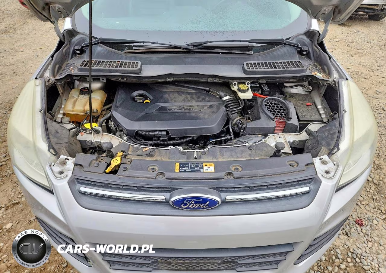 2014 Ford Escape Se VIN:1FMCU0GXXEUE51792 - 12