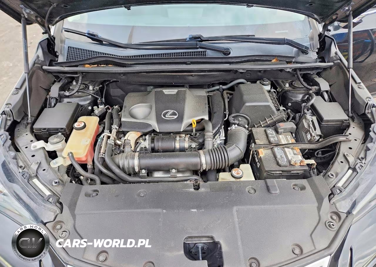 2018 Lexus Nx 300 Base VIN:JTJYARBZ9J2110645 - 12