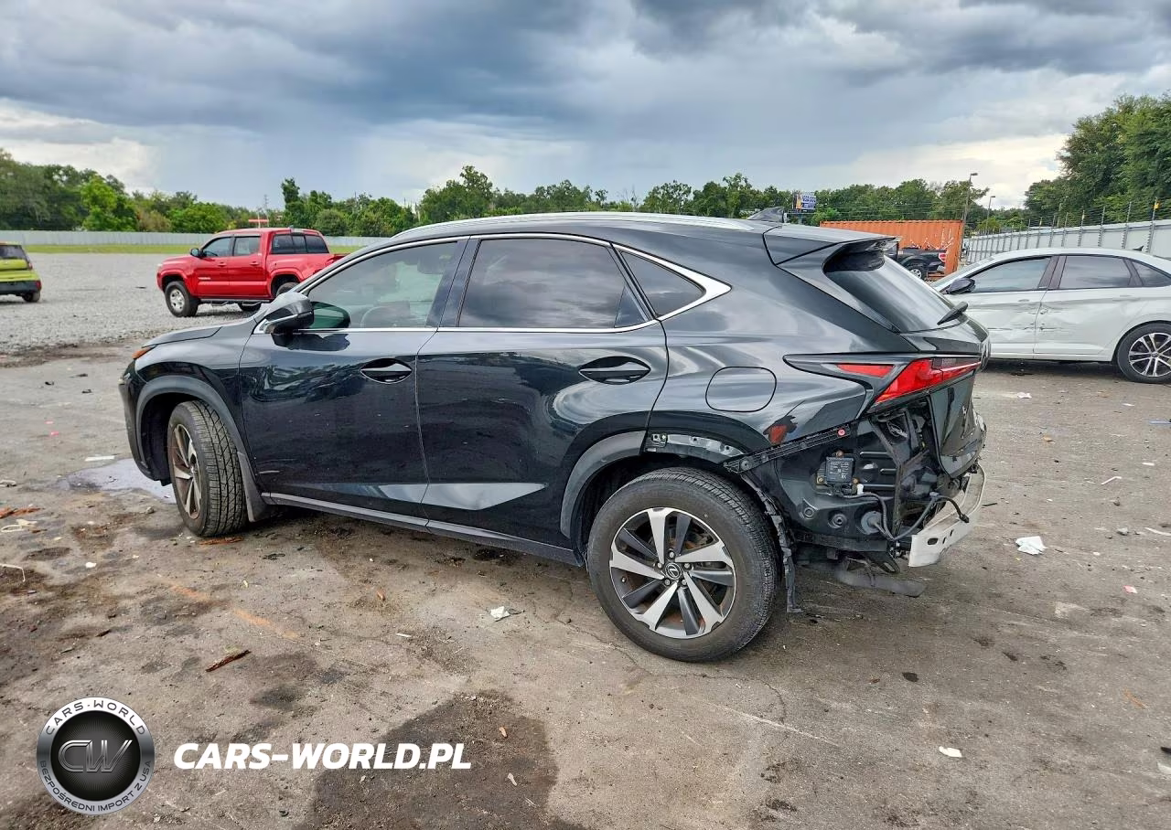 2018 Lexus Nx 300 Base VIN:JTJYARBZ9J2110645 - 2