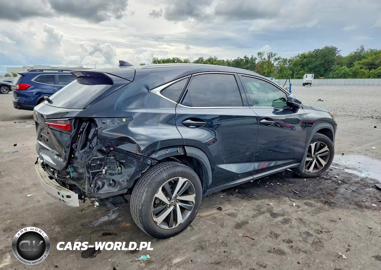 2018 Lexus Nx 300 Base VIN:JTJYARBZ9J2110645 - 3