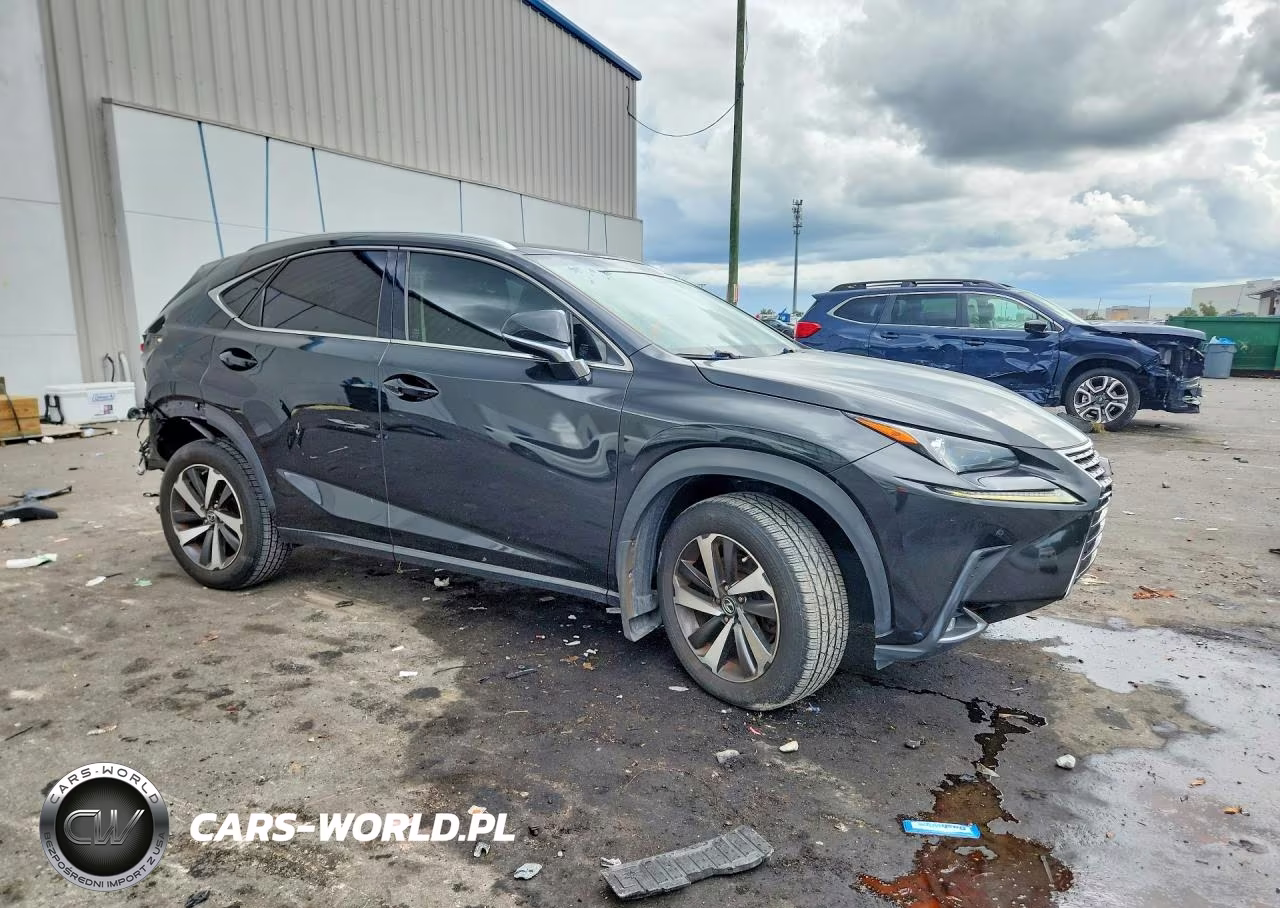 2018 Lexus Nx 300 Base VIN:JTJYARBZ9J2110645 - 4