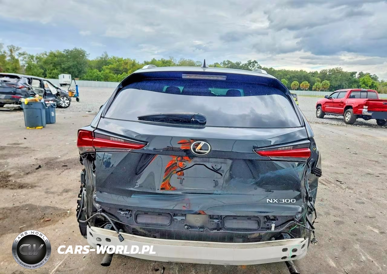 2018 Lexus Nx 300 Base VIN:JTJYARBZ9J2110645 - 6