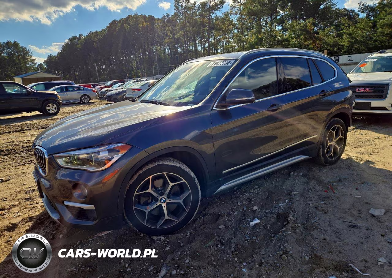 2019 BMW X1 xDrive28I VIN:WBXHT3C58K5L35650 - 1