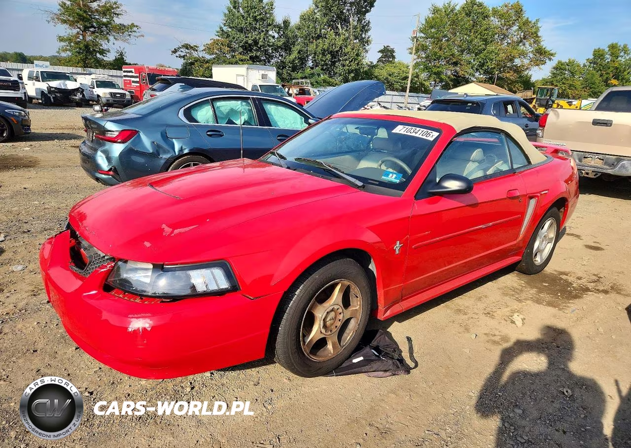 2003 Ford Mustang VIN:1FAFP44493F420857 - 1