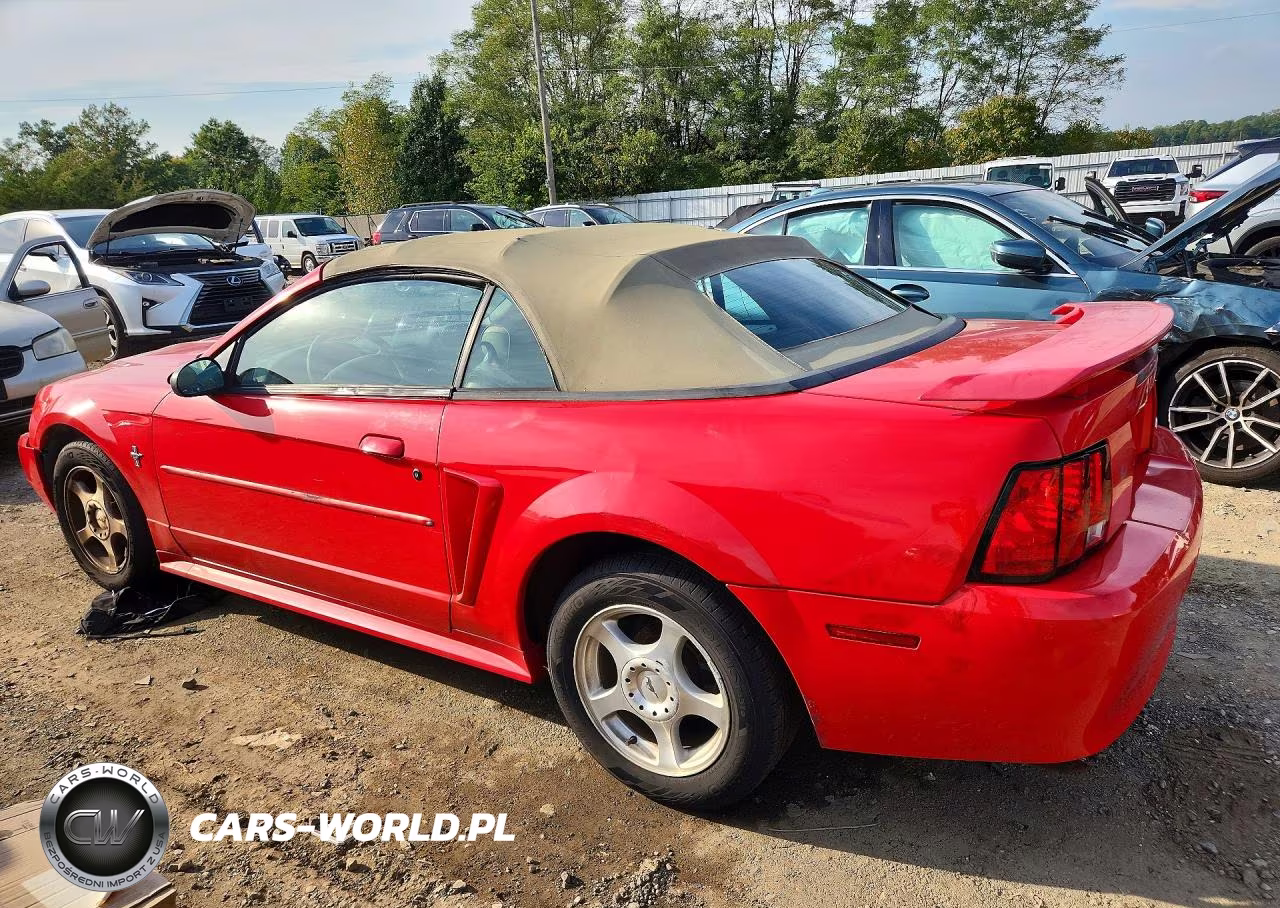 2003 Ford Mustang VIN:1FAFP44493F420857 - 2