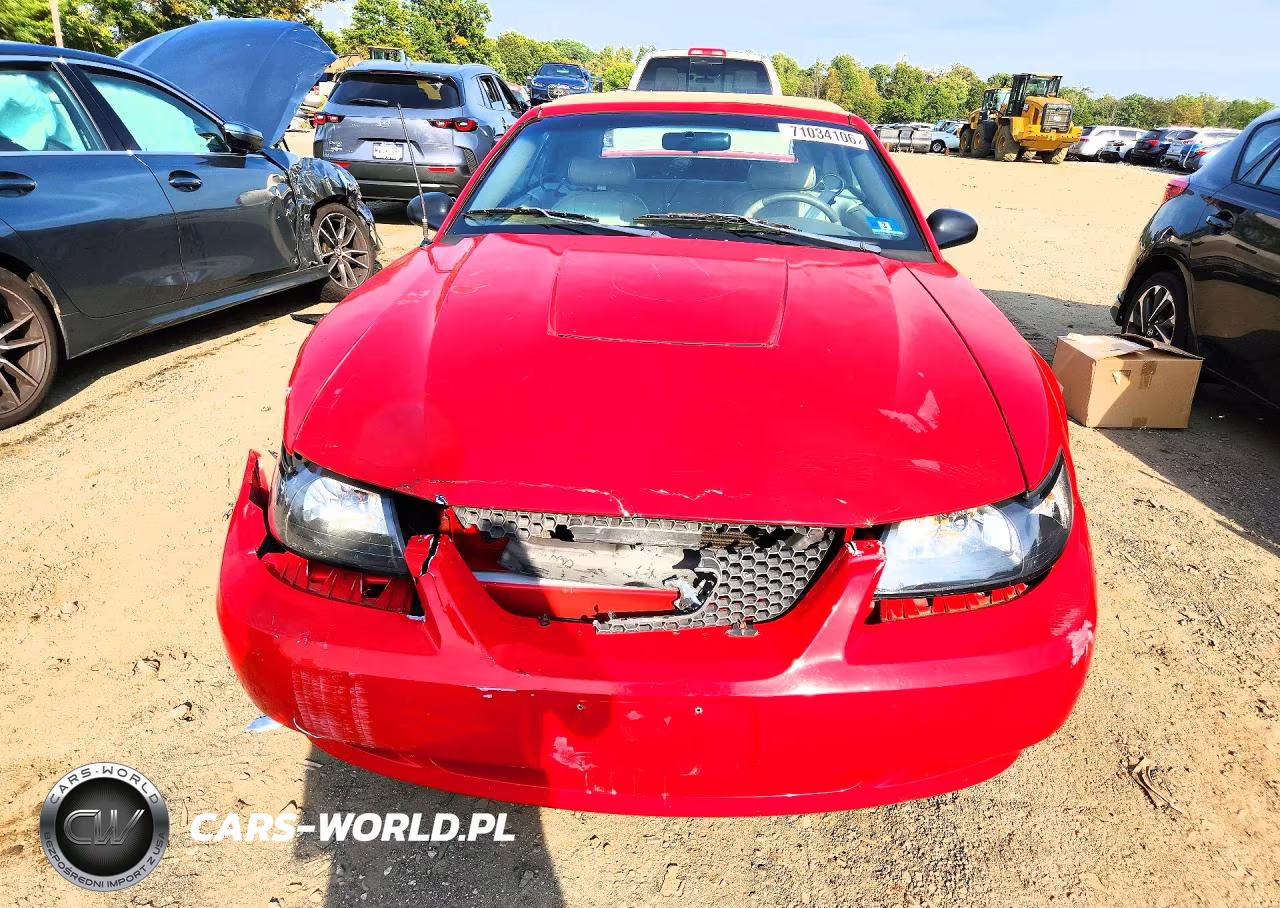 2003 Ford Mustang VIN:1FAFP44493F420857 - 5