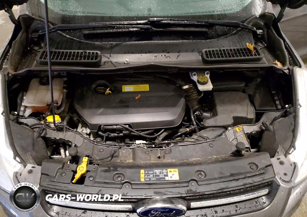 2014 Ford Escape Se VIN:1FMCU9GX9EUC86158 - 12
