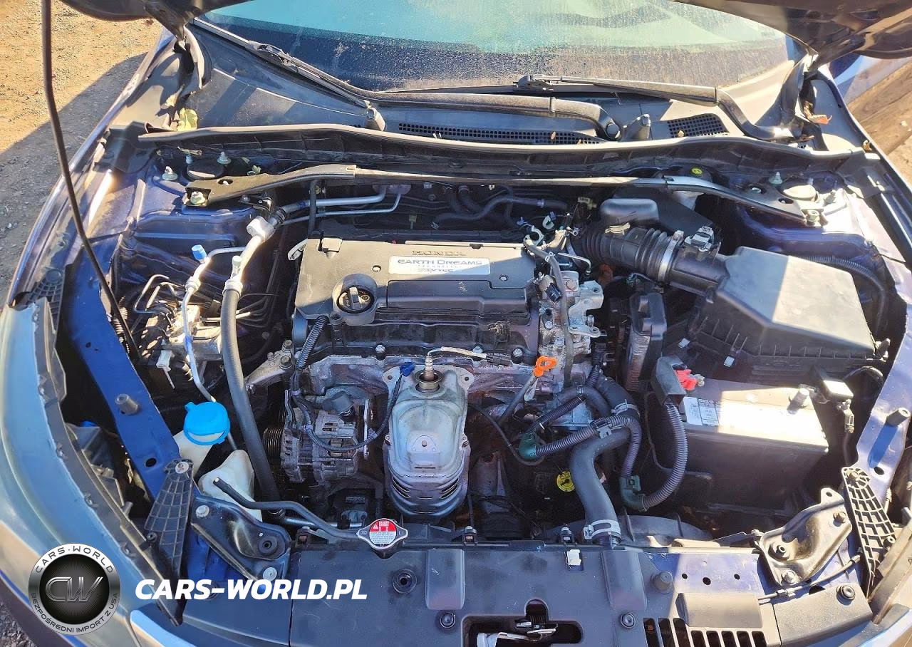 2014 Honda Accord Ex VIN:1HGCR2F70EA230501 - 11