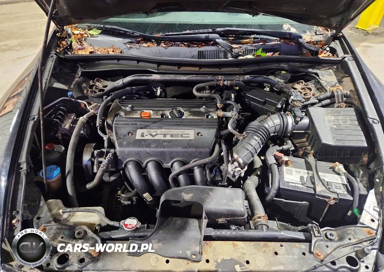 2008 Honda Accord Exl VIN:1HGCS128X8A009540 - 11
